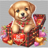 Valentine's Day-QRJ  4467